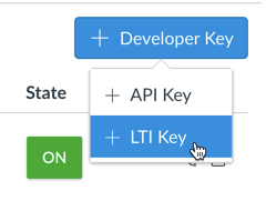 Add Developer Key Menu LTI Key Option
